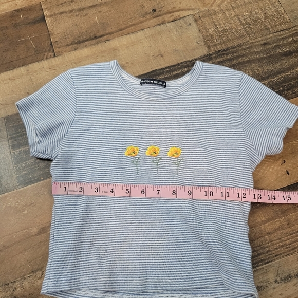 Small Brandy Melville Striped Buttercup Floral Embroidered Crop Top - Picture 4 of 5